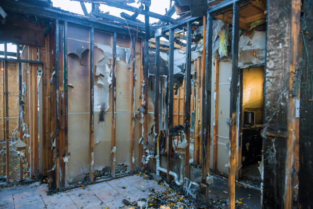 Professional Fire Damage Assessment technician working in Snoqualmie Pass, WA