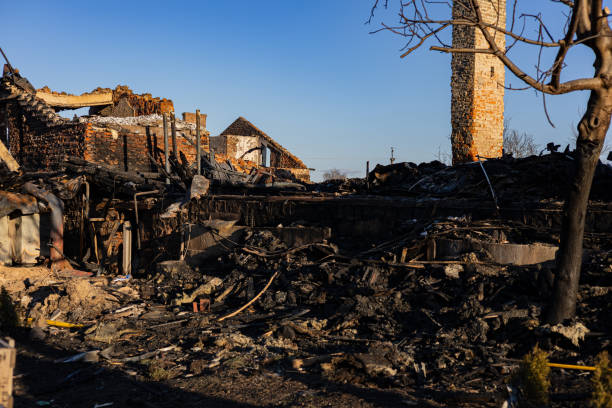 Reliable Fire Damage Assessment contractor in Snoqualmie Pass, WA by Fire Damage Doption